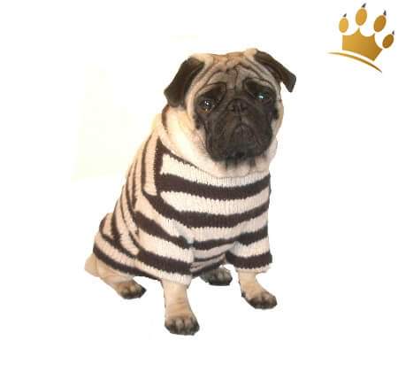 Hundepullover Kampen Creme