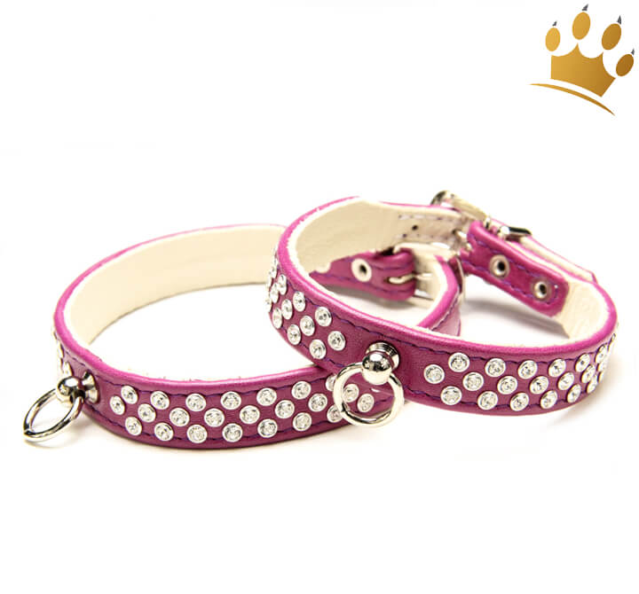 Hundehalsband Luxury Monroe Pflaume Lederhalsband kleine Hunde