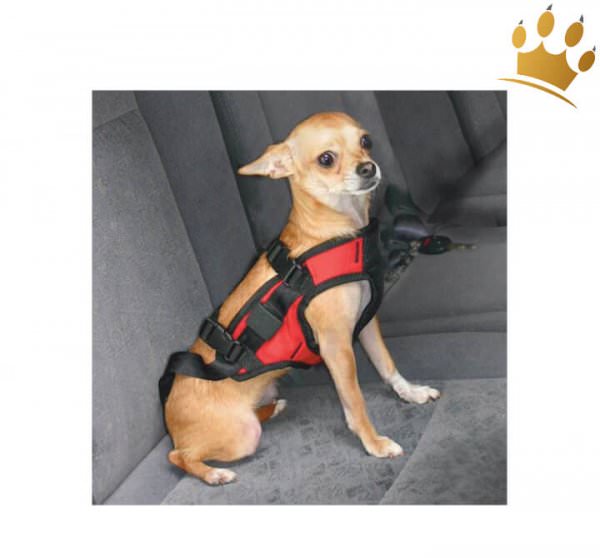 Softgeschirr Car Deluxe