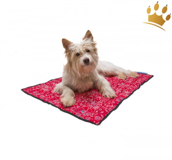 Aqua Cool-Keeper Matt Rot Kühlmatten