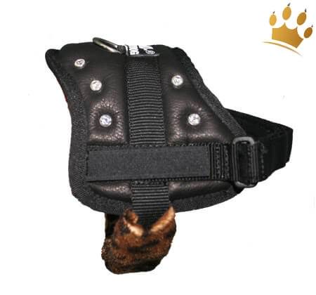 MyDog Hundegeschirr Leo Black Luxury