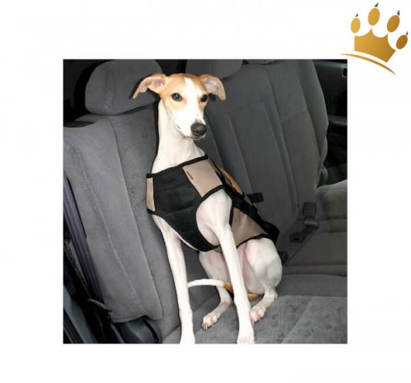 Softgeschirr Car Deluxe