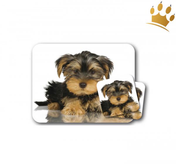 Mousepad & Untersetzer Yorkshire Terrier 3er-Set