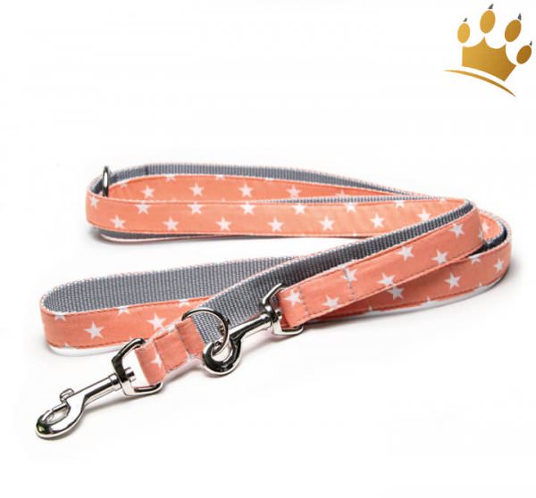 Hundeleine Little Star Orange
