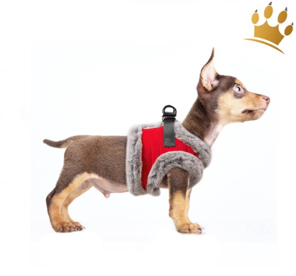 Milk & Pepper Tomas Step In Hundegeschirr