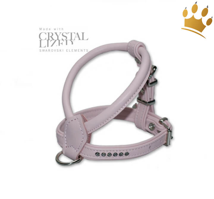Ledergeschirr Cuoio Rosa Hundegeschirr Leder kleine Hunde