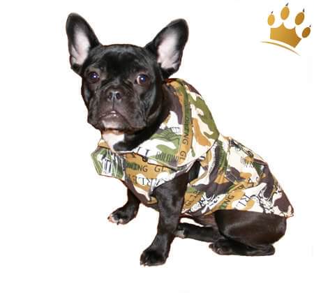 Adventure-Jacket Fortune