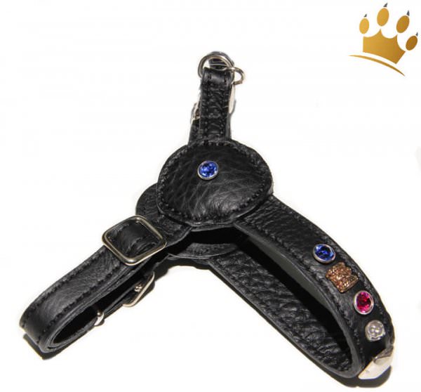 Malucchi Hundegeschirr Movie Petra Schwarz