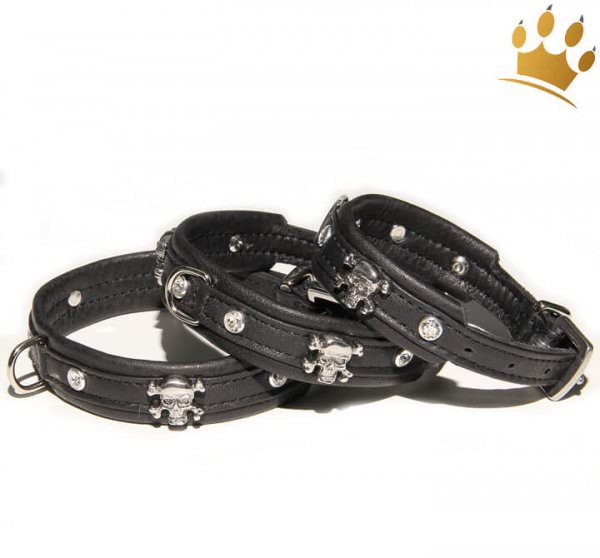 Hundehalsband Crazy Scully Schwarz