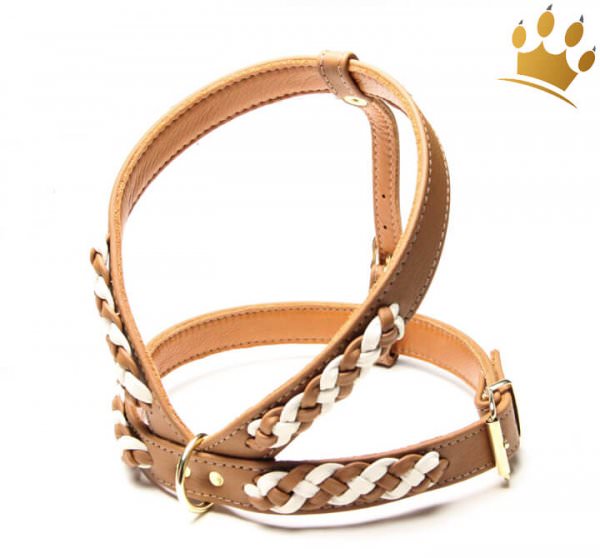 Hundegeschirr Empire Double Cognac-Creme
