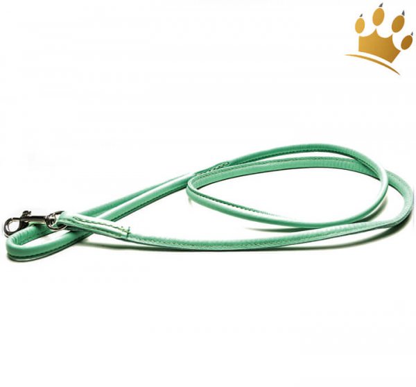 Hundeleine Summer Mint