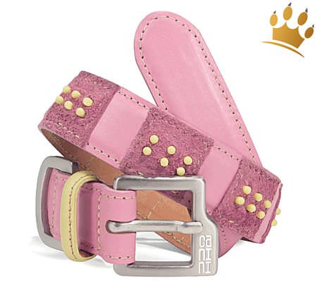 Hundehalsband Canini® Dottie Pink