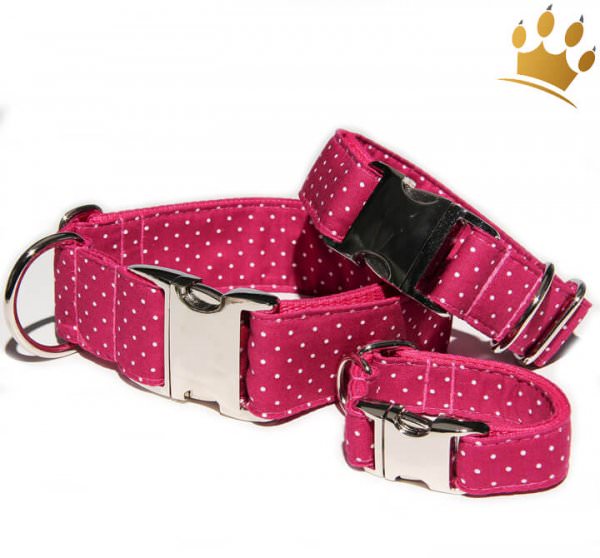 Hundehalsband Little Dotty Fuchsia