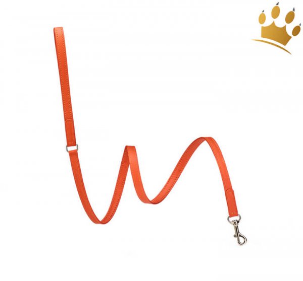 Malucchi Hundeleine Movi Orange