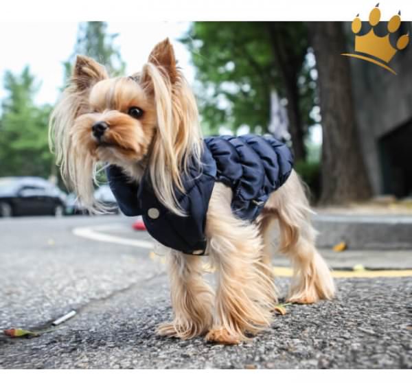 Puppy Angel Hundemantel Luxury Faux Down Navy