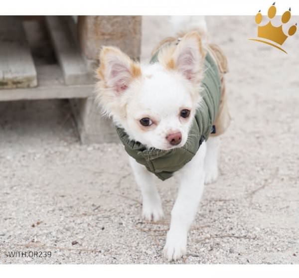 Puppy Angel Army Barmy Military Grün