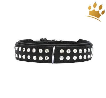 Hundehalsband St.Tropez Black 30mm
