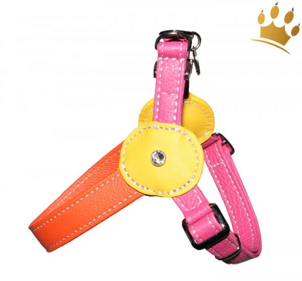 Malucchi Hundegeschirr Movie Tuttifrutti Multi