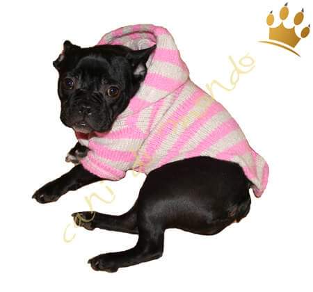 Hundestrickjacke Gina