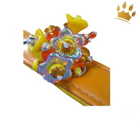 PuP-PuP TM Cha Cha's yellow