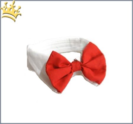 Hundekragen Married Red