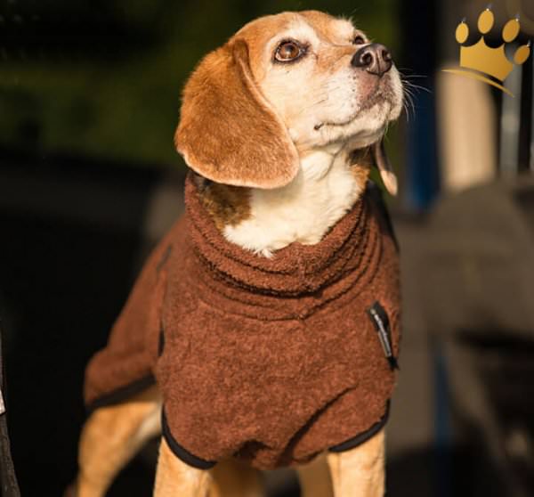 DryUp Bade-Cape Mini