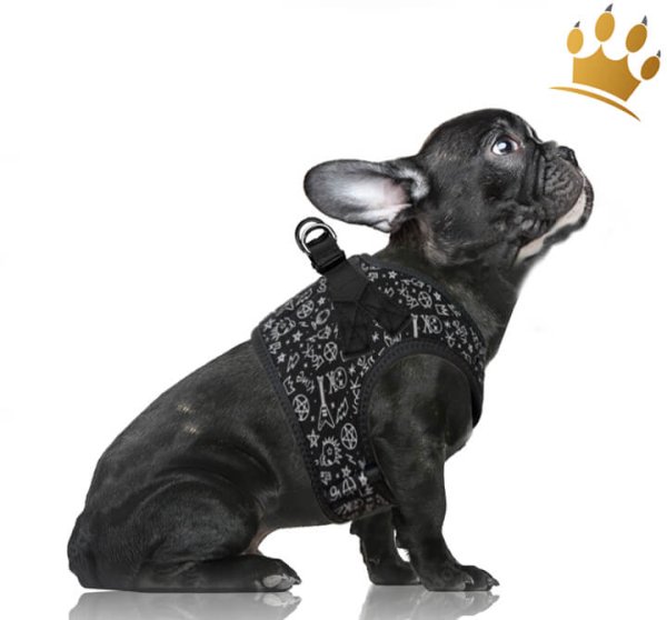 Milk & Pepper Step InTravis Hundegeschirr