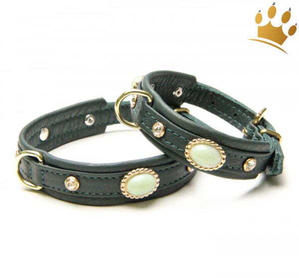 Hundehalsband Jade Thunder Petit