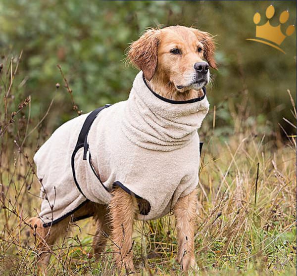 DryUp Bade-Cape Big Sand