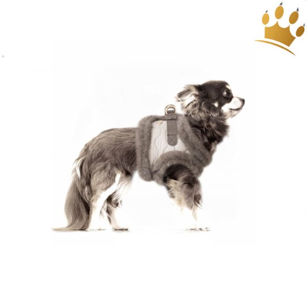 Mlk & Pepper Enola Hundegeschirr