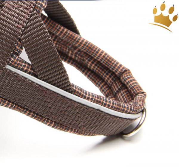 Jack-B Hundegeschirr Karo Braun