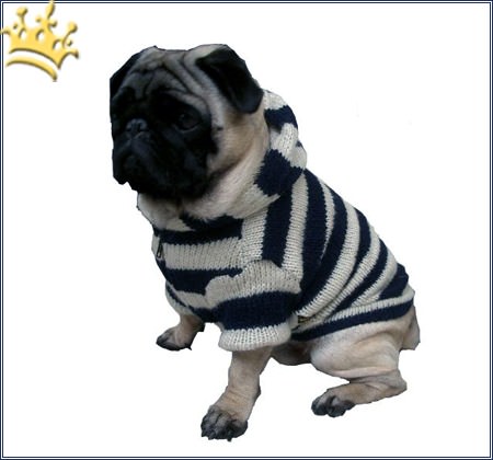 Hundestrickjacke St. Moritz Navi