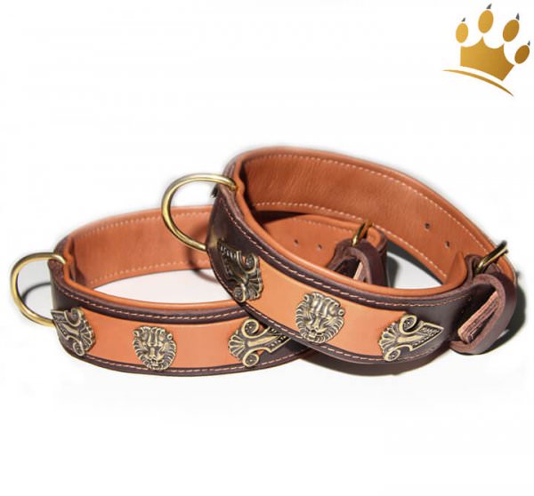 Hundehalsband Lion Selvaggio Lederhalsband für große Hunde Braun