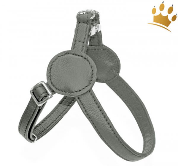 Malucchi Hundegeschirr Movie Grau