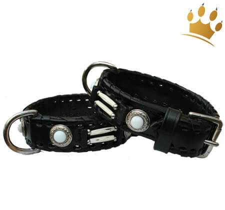 Hundehalsband Sioux
