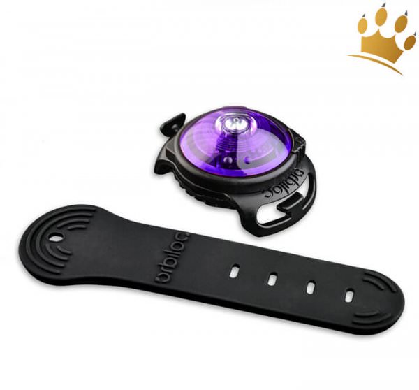 Orbiloc Dog Dual Purple