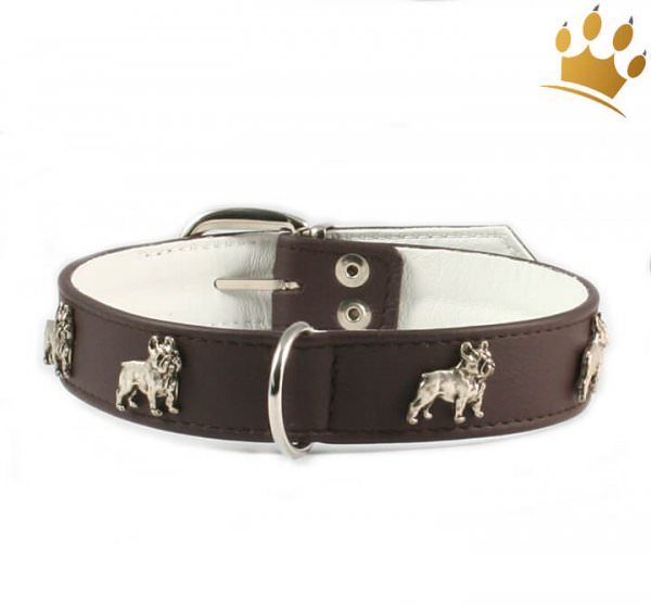 Motivhalsband Französische Bulldogge Braun