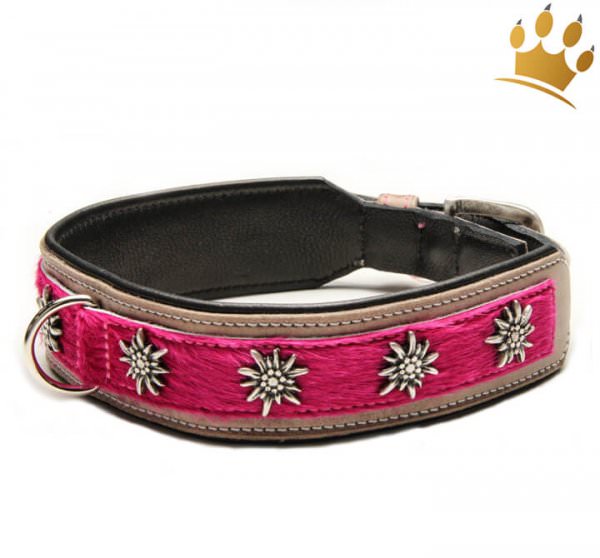 Hundehalsband Gipfelstürmer Pink