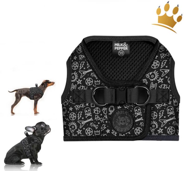 Milk & Pepper Step InTravis Hundegeschirr