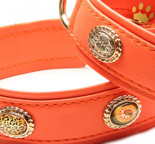 Hundehalsband Ibiza 80 Orange