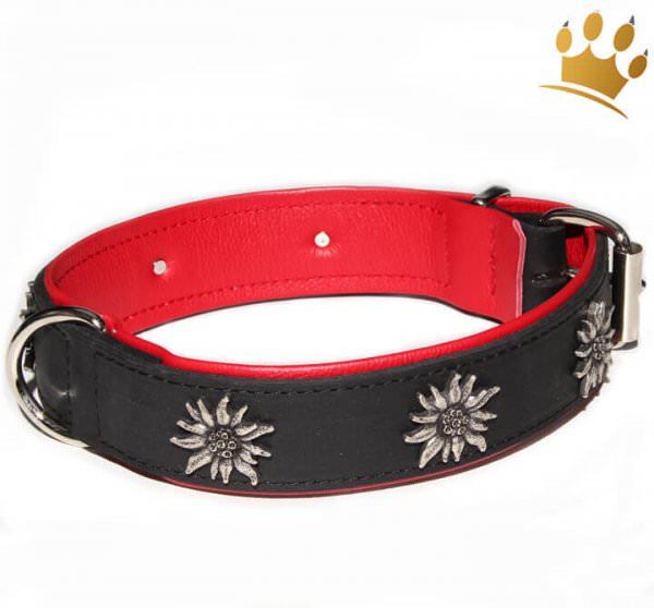 Hundehalsband Edelweiß Tirol Schwarz/Rot