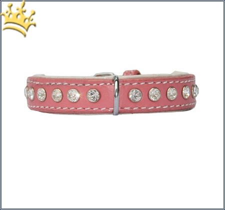 Hundehalsband Extreme Rosa 15mm