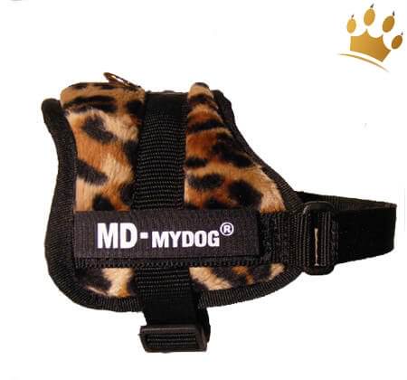 MyDog Hundegeschirr Leopard
