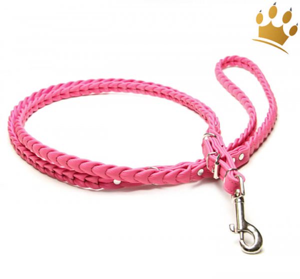 Hundeleine Leder Ascot Himbeere
