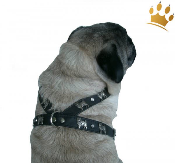 Mopsgeschirr Deluxe Schwarz
