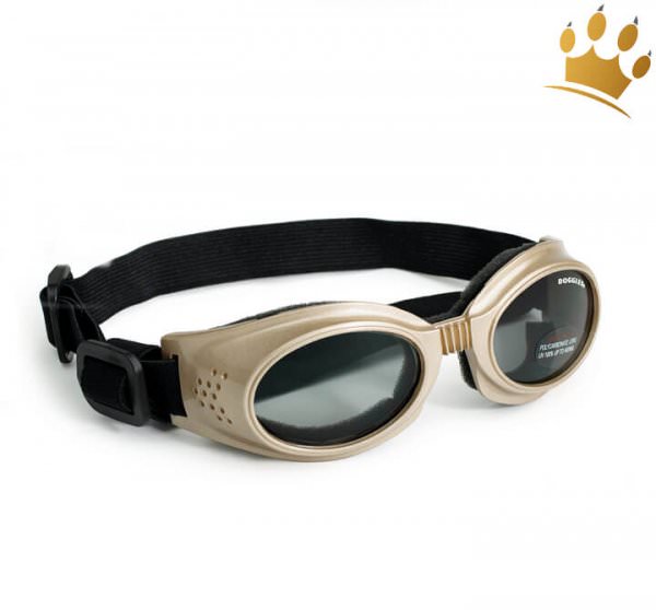 Doggles® Originalz Hunde-Sonnenbrille Goldfarbend