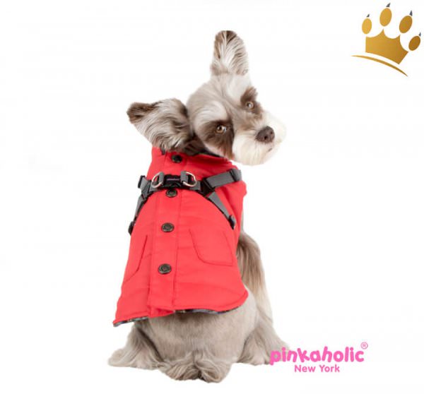 Pinkaholic Hundemantel Ameila Red Hund