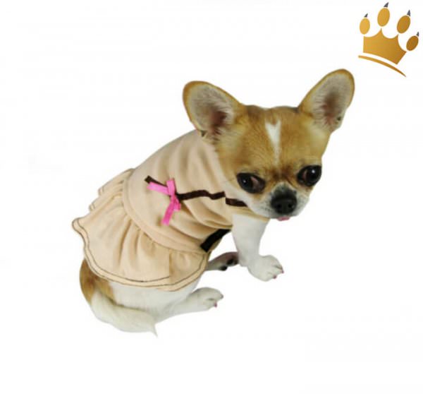 Hundekleidchen Loop Creme