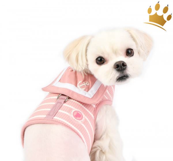 Pinkaholic Step In Softgeschirr Cordelia Rose