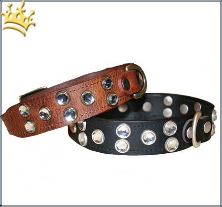 Hundehalsband Diamonds are forever cognac